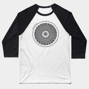 Diatom - Arachnodiscus (scientific) Baseball T-Shirt